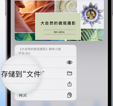 叶集apple维修中心分享iPhone文件应用中存储和找到下载文件