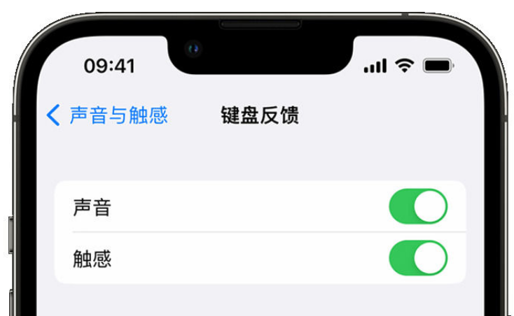 叶集苹果手机维修分享iPhone 14触感键盘使用方法 