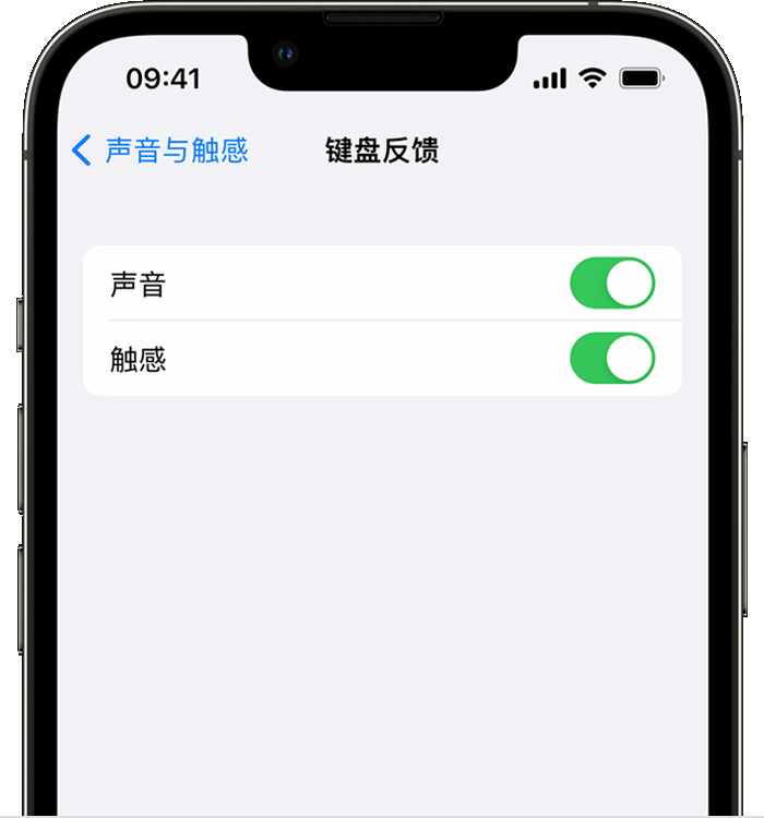 叶集苹果14维修店分享如何在 iPhone 14 机型中使用触感键盘 