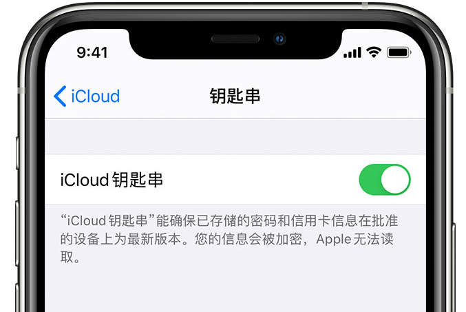 叶集苹果手机维修分享在 iPhone 上开启 iCloud 钥匙串之后会储存哪些信息 