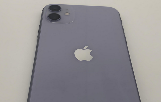 叶集苹果11系统维修分享iPhone11手机系统崩溃无法开机如何解决 